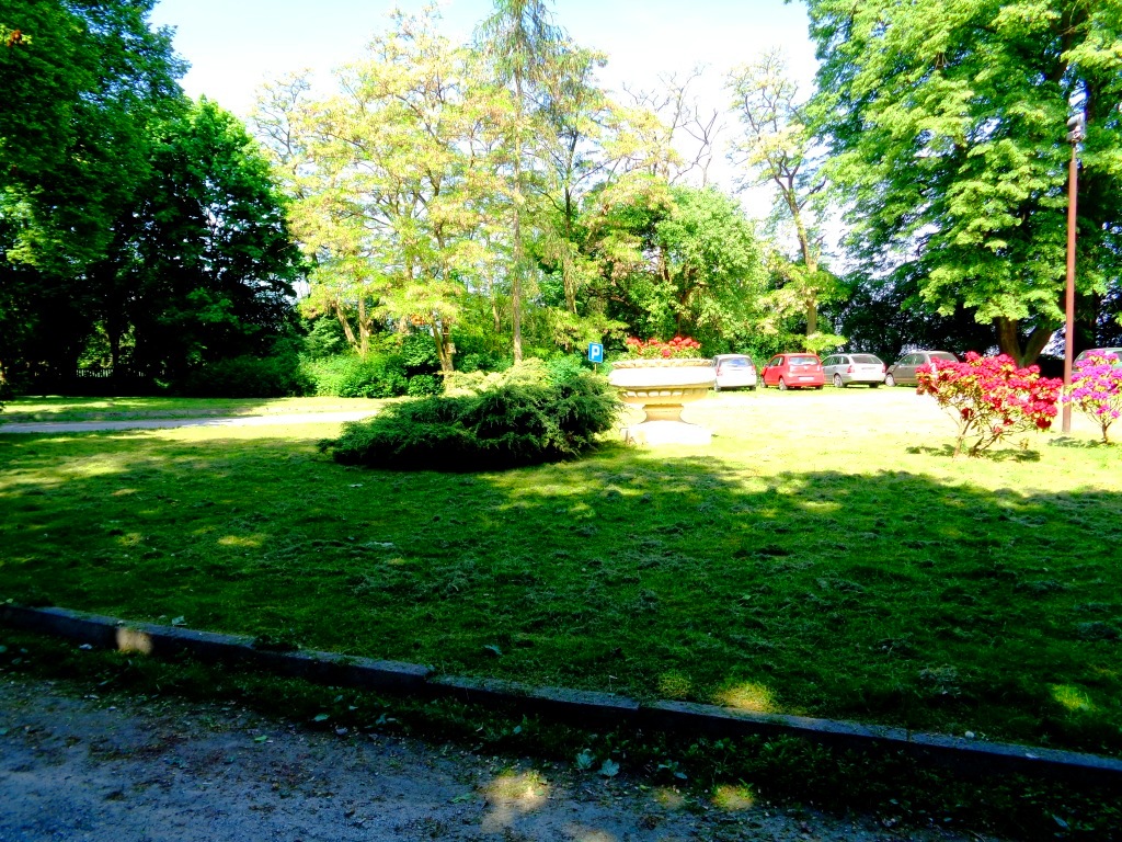 Dawny Urzędnik Dworski Usługujący Królowi Przy Stole Dawny park dworski - Szynczyce