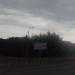 Лесок в городе Череповец