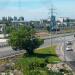 Дерево в городе Москва