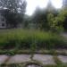 Клумба в городе Череповец
