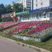 Клумба в городе Москва