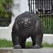 Sculpture of Bear - the symbol of Russia