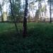 Насыпь в городе Москва