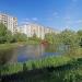 Пруды китайского парка в городе Тверь