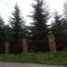 Еловая аллея в городе Череповец