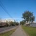 Тополь в городе Череповец