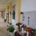 Kolumnada wschodnia (pl) in Rovinj city