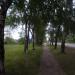 Аллея в городе Череповец
