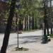 Автобусная остановка в городе Великие Луки