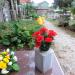 Staro gorblje-vecchio cimitero (it) in Novigrad city