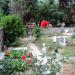 Staro gorblje-vecchio cimitero (it) in Novigrad city