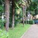 Park (pl) in Novigrad city