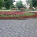 Цветник в городе Москва