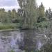 Заболоченный пруд в городе Ашукино