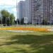 Газон в городе Москва