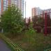 Рябиновая аллея в городе Москва