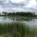 vavvaalodai river - ninthavur 