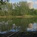 Небольшая заболоченность в городе Москва