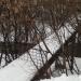 Переход кабельного коллектора через реку Чермянку в городе Москва