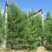 Руины в городе Кимры