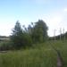 Рощица в городе Череповец