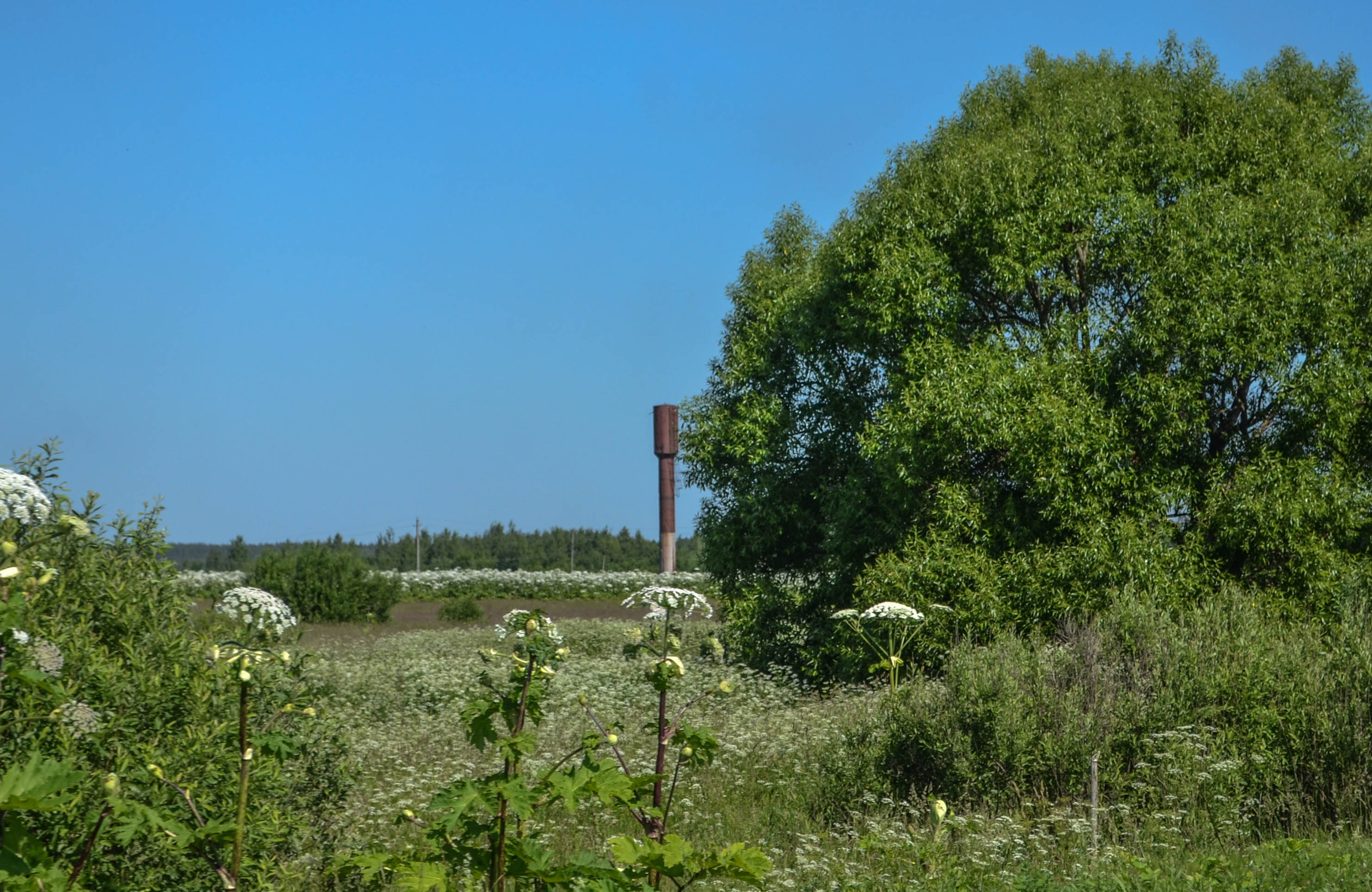 water-tower