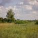 Ипподром в городе Казань