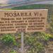 Мозаика VI века в городе Севастополь