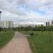 Поляна в городе Москва