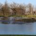 Staw in Radom city