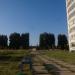 Тополиная аллея в городе Череповец