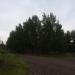 Кладбище домашних животных в городе Череповец