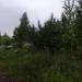 Заросли в городе Череповец