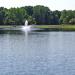 Cook Lougheed Wildlife Pond