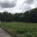 Зелёная зона Института океанологии в городе Москва
