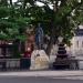 Soldier's Statue in Windsor city