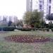 Цветник в городе Москва