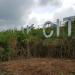 Donsak City sign and viewpoint