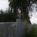 Серовская ул., 91 в городе Череповец