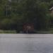 Водокачка в городе Череповец