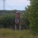 Трансформатор в городе Череповец