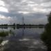 Пустырь в городе Череповец