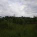 Роща в городе Череповец