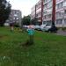 Цветник в городе Череповец