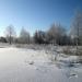 Заросли в городе Набережные Челны