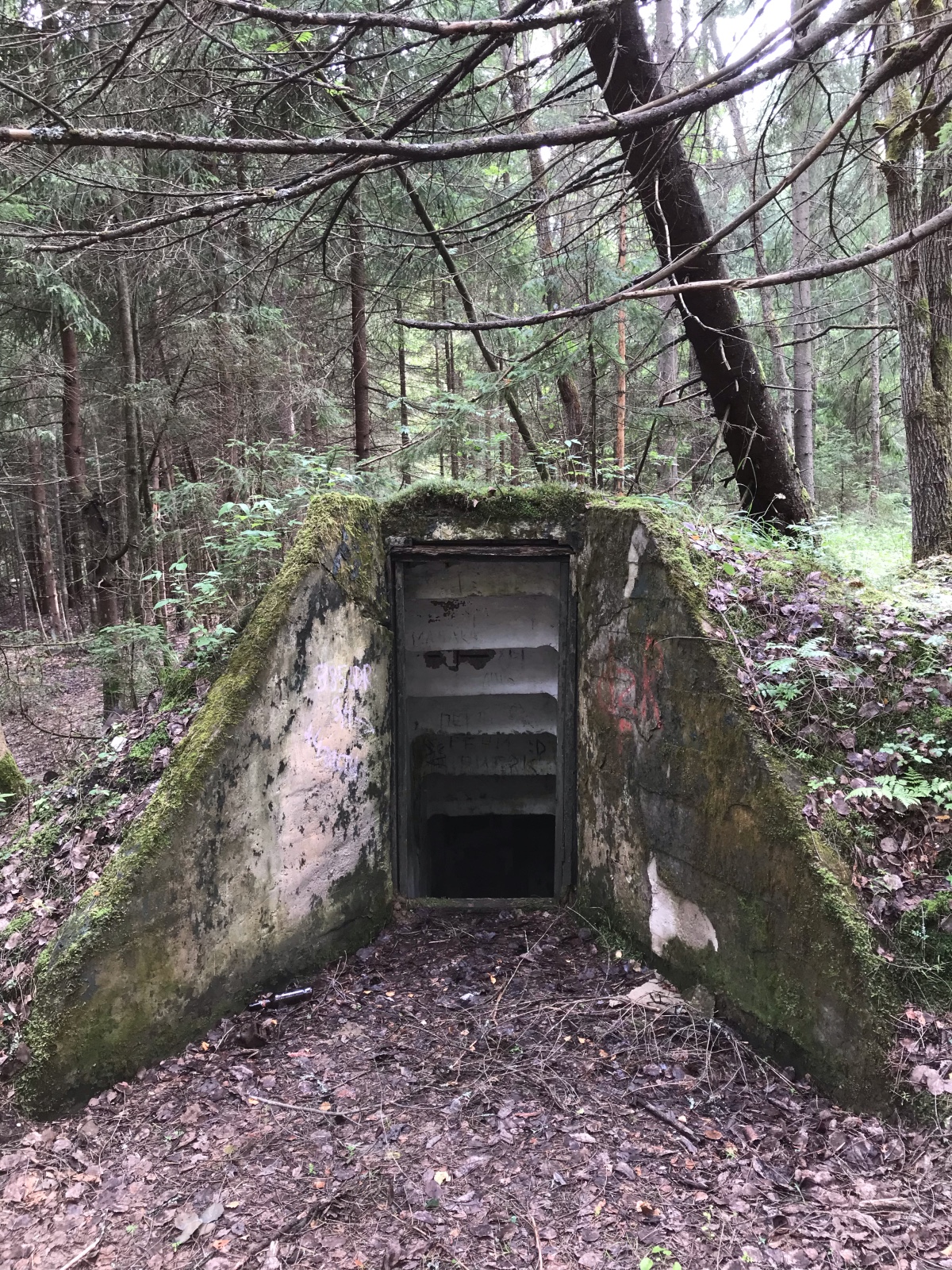 Заброшенный бункер в лесу Нижегородская область
