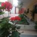 Edem Hotel in Alushta city