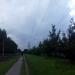 Аллея в городе Череповец