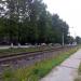 Аллея в городе Череповец