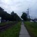 Аллея в городе Череповец